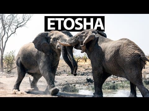 Namibia’s Private Safari Experience You’ve Never Heard Of