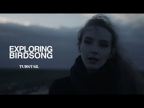 Exploring Birdsong - Turntail (official Music Video)
