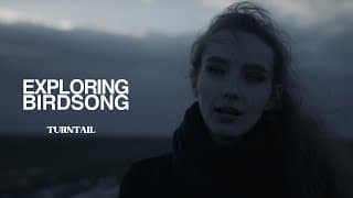 Exploring Birdsong - Turntail (official Music Video)