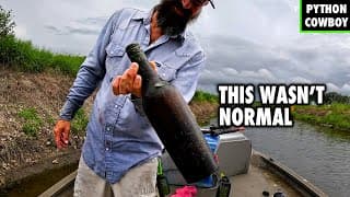 Removing Invasive Iguanas Until We Found Something Unexpected