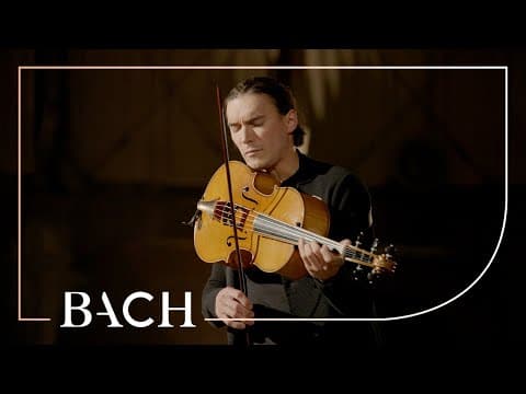 Bach - First Movement From Cello Suite No. 6 Bwv 1012 | Netherlands Bach Society