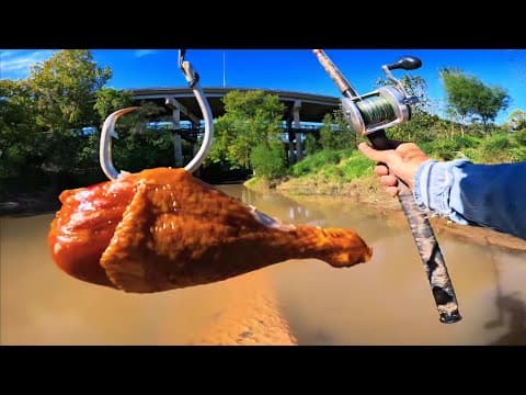 Turkey Legs For Bait Catch Monsters!