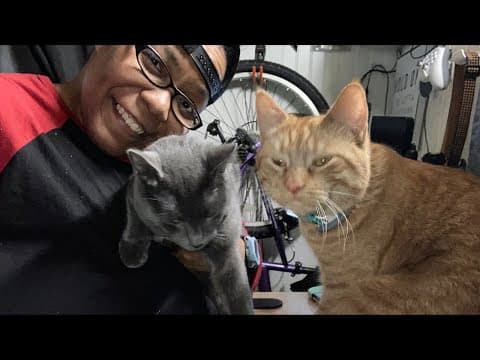 Happy New Year! Come chat with me and the kitties….(replay)