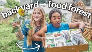 Turning My Backyard Into A Food Forest 🍊🍅🌳 In Austin, Tx (a Long Over Due Garden Update)