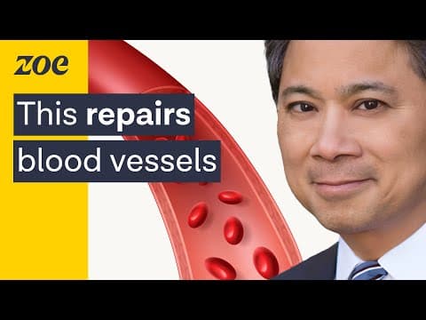 Heart Expert: Dementia May Start In Your Blood Vessels — Here’s How To Prevent It. | Dr. William Li