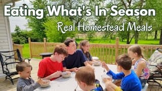 Feeding 11 With Simple Seasonal Homestead Meals ~ Rhubarb, Garlic Scapes & More