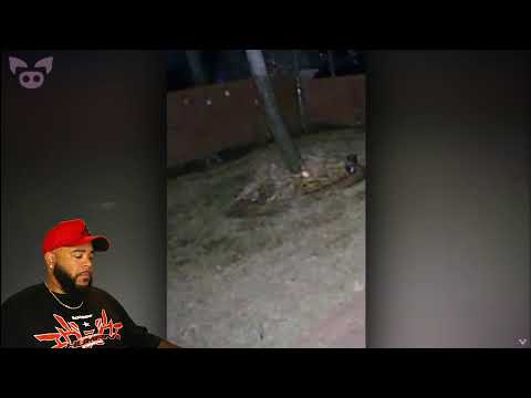 Videos Scarier Than Your Mother In Law's Attitude