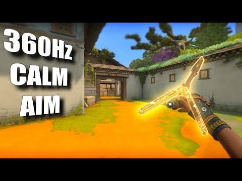 Valorant, 800dpi 0,38 - 360hz