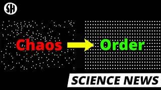 New Experiment Sees Order Emerge From Chaos