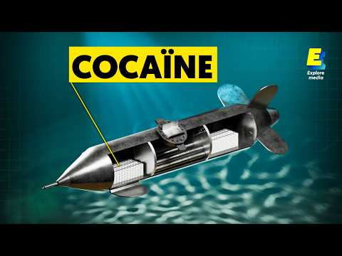 Comment La Cocaïne Rentre Vraiment En France ? | Atlas