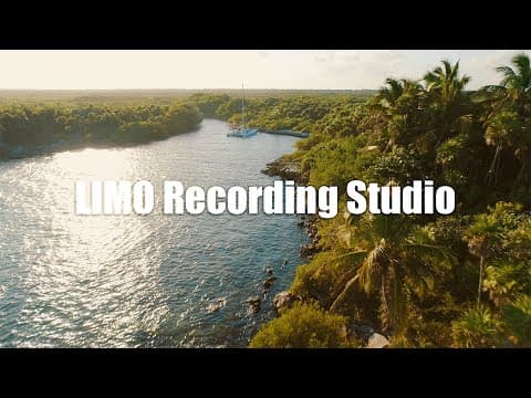 The Grey Room / Golden Palms - F16 (no Copyright Music)