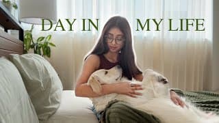 Day In My Life As A Stay At Home Dog Mom | Life In My New Chicago Home