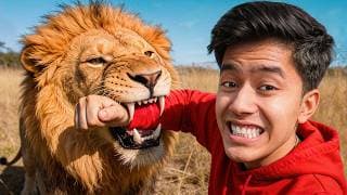 Living With Lion For A Day!