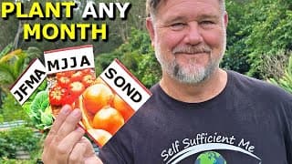 What Veggies To Plant Any Month, Anywhere – Instantly!