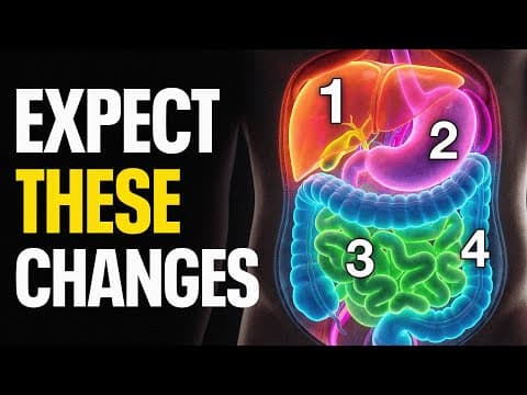 Quit Drinking Alcohol & Your Body Will Do This (science-backed)