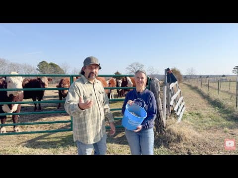 A Warm Winter Day Put To Good Use.