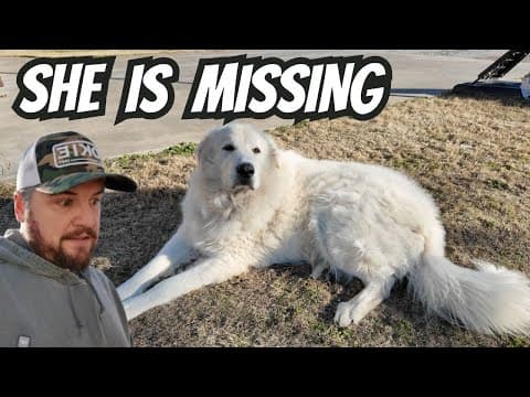 Predators Should Consider This A Warning