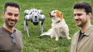 Mit Szólnak A Kutyák A Robotkutyákhoz?