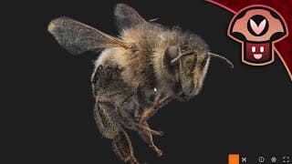 [brb Talk] Vinny Learns About Gaussian Splat 3d Bee