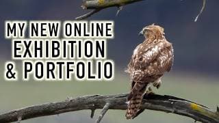 My Online Exhibition Is Live! Learn To Use Pic-time As A Photography Gallery And Portfolio