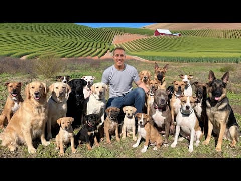 I Bought A Giant Dog Rescue Farm - And You Can Visit!