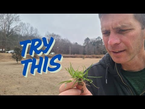 Testing 3 Herbicides On A Terrible Weed