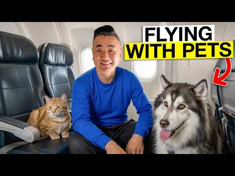 Travelling With Animals - A Special Flight From Australia