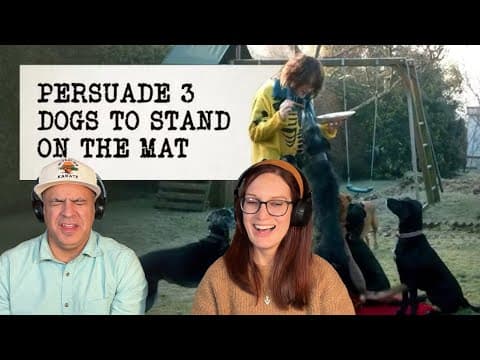 Taskmaster - Get 12 Legs On The Carpet At One Time Reaction