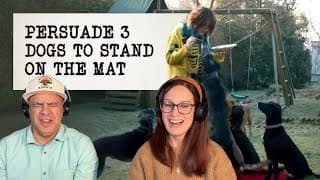 Taskmaster - Get 12 Legs On The Carpet At One Time Reaction