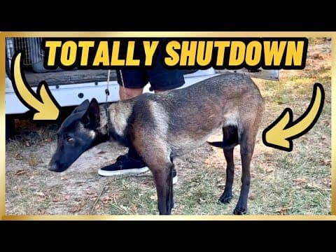 She Was Totally Shut Down…..until I Got Her To Play!