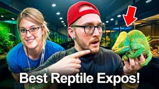 The Best Reptile Expos In The World