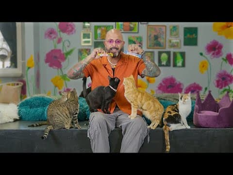 No Fear, All Confidence With...treats?!