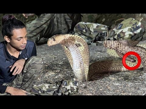 Cobra Rescued On Mahashiv Ratri | घायल नागिन पकड़ी गई
