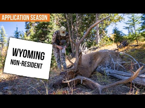 Wyoming Non-resident Elk Draw Explained | Tags, Points, And How The System Works
