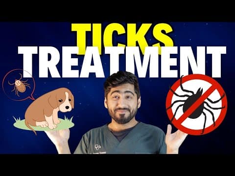 Top Products For Dog Tick Fever Treatment || اردو / हिंदी