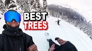 Snowboarding In The Best Trees On Whistler Mountain
