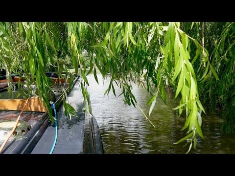 381a. Attacked By Vicious Trees On A Canal Boat Cruise To Polesworth!
