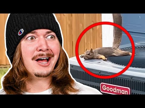 These Daily Dose Memes Drove Me Nuts