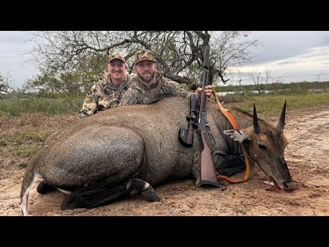 Nilgai Hunting With Josh Phillips In South Texas