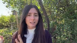 Why Is Us Farmland Being Sold Off To Foreign Investors?