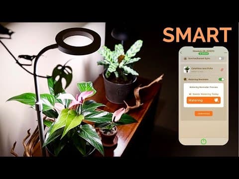 Your Indoor Plants Deserve Smart Lighting