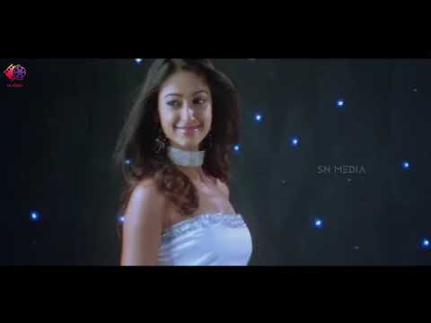 Bhale Dongalu South New Movie | Hindi Dubbed | South Blockbuster Action Movie | Ileana D'cruz