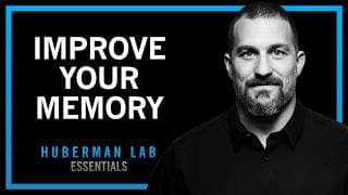 Understand & Improve Memory Using Science-based Tools | Huberman Lab Essentials