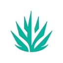 Experience Scottsdale